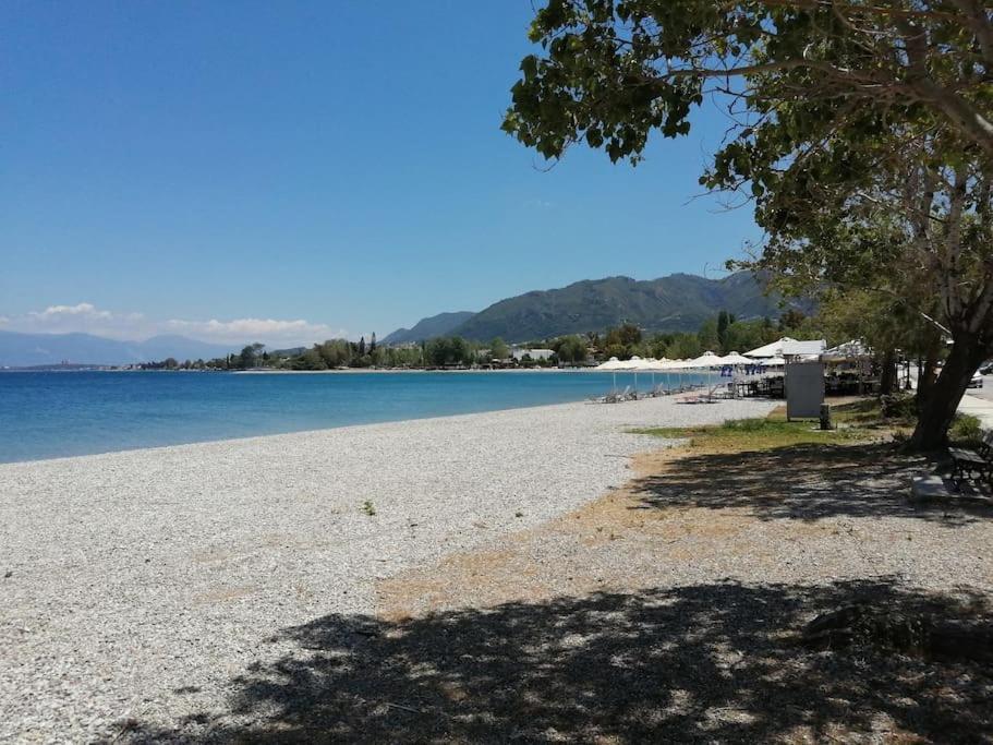 Nikolas Apartment. Aktaio Rio Patra ภายนอก รูปภาพ